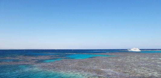 Gebel Elba National Park Gebel Elba National Park