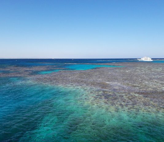 Gebel Elba National Park Gebel Elba National Park