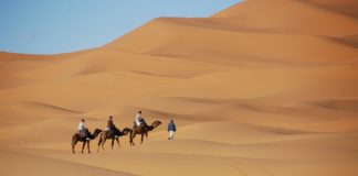 Iriqui National Park Iriqui National Park Marokko