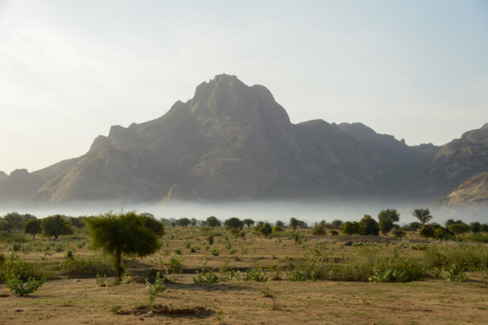 Manda National Park Tsjaad