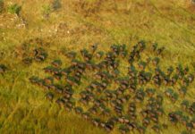 Moyowosi Game Reserve Moyowosi Game Reserve tanzania