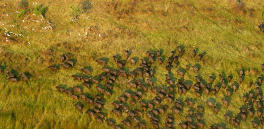 Moyowosi Game Reserve Moyowosi Game Reserve tanzania