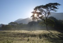 Mpanga Kipengere Game Reserve Mpanga Kipengere Game Reserve Tanzania