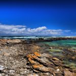 Agulhas National Park