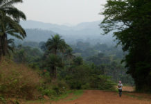 Gola Rainforest National Park Gola Rainforest National Park