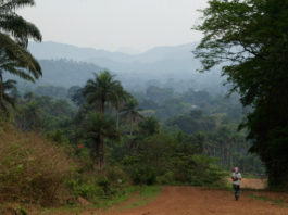 Gola Rainforest National Park Gola Rainforest National Park