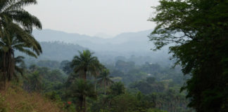 Gola Rainforest National Park Gola Rainforest National Park