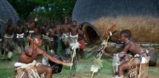 Hoe wordt de volgende Zulu koning gekozen?