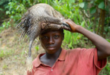 Kangari Hills Forest Reserve Kangari Hills Forest Reserve