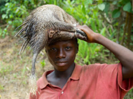 Kangari Hills Forest Reserve Kangari Hills Forest Reserve