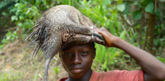 Kangari Hills Forest Reserve Kangari Hills Forest Reserve