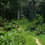 Kangari Hills Forest Reserve op de fiets