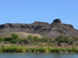 Natuurreservaat Doornkloof Natuurreservaat Doornkloof Zuid Afrika