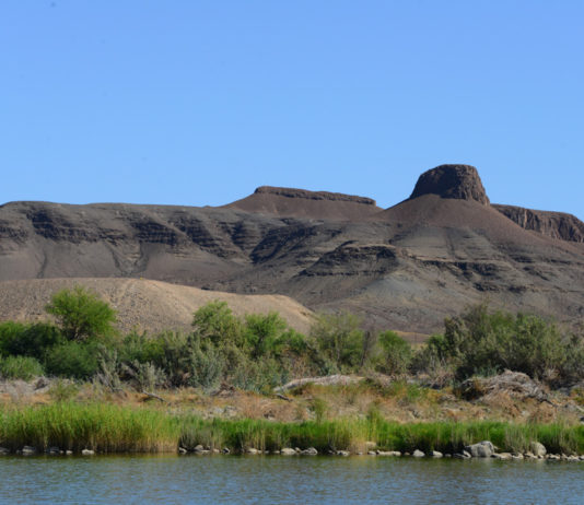 Natuurreservaat Doornkloof Natuurreservaat Doornkloof Zuid Afrika