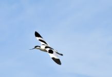 Réserve de Guembeul Réserve de Guembeul