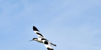 Réserve de Guembeul Réserve de Guembeul