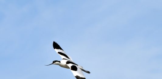 Réserve de Guembeul Réserve de Guembeul