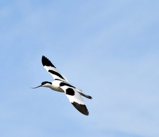 Réserve de Guembeul Réserve de Guembeul