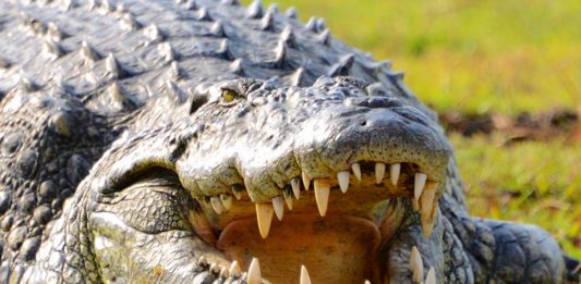 Lake Rukwa & Rukwa Game Reserve Lake Rukwa & Rukwa Game Reserve