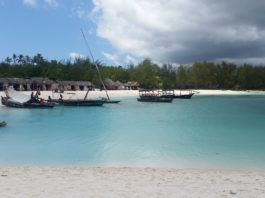 Mafia Island Mafia Island Tanzania