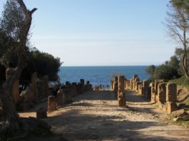 Tipaza ruïnes Tipaza Algerije