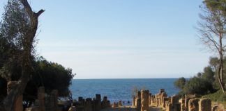 Tipaza ruïnes Tipaza Algerije