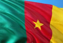 Paul Biya wint betwiste presidentsverkiezing in Kameroen en zet 43-jarig bewind voort vlag van Kameroen