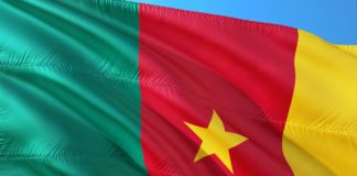 Kameroen roept op tot stopzetting van het gebruik van plastic zakken vlag van Kameroen