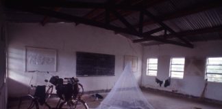 Onderzoek wijst uit dat Tseetseevliegen de kleur blauw associëren met voedsel Muskietennet