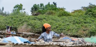 Visdrogerij in Abene Visdrogerij Abene Senegal