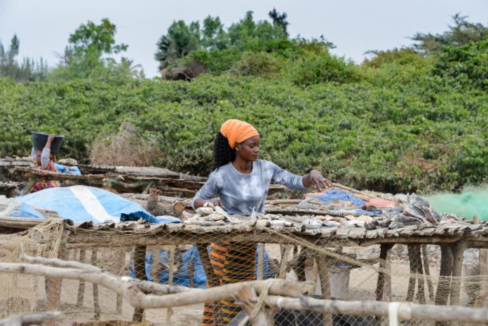 Visdrogerij Abene Senegal