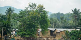 Het Verhaal van Lake Volta: Een Gigantisch Waterlichaam en de Levensader van Ghana Ghana Lake Volta