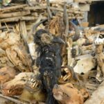 Marché des Féticheurs Togo