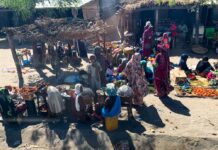 Ngoura is het hart van traditioneel leven in Tsjaad Ngoura Tsjaad