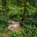 Wli waterval Ghana-5