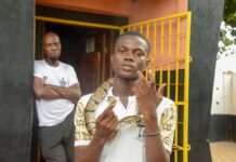 Temple des Pythons Temple des Pythons