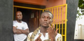 Temple des Pythons Temple des Pythons