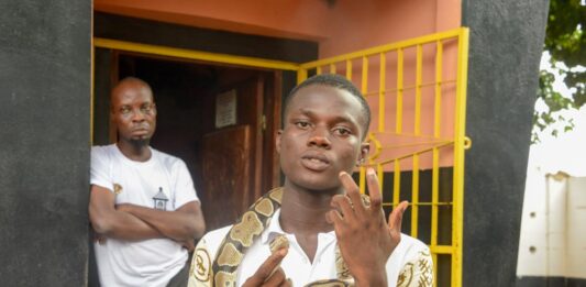 Temple des Pythons Temple des Pythons