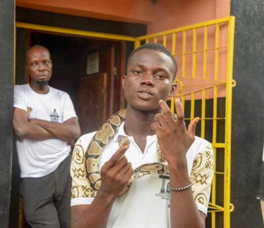 Temple des Pythons Temple des Pythons