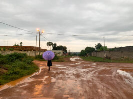 Op bananenjacht in Abengourou Abengourou