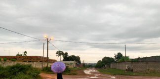 Op bananenjacht in Abengourou Abengourou