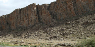 Boulmane is een avontuur in de Midden-Atlas Boulmane schapen Marokko