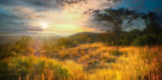 Mijn reis van rook tot rotsen in Zimbabwe rook tot rotsen