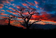 Beste reistijd voor Angola – van kust tot woestijn en savanne Beste reistijd voor Angola