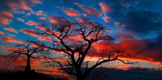 Beste reistijd voor Angola – van kust tot woestijn en savanne Beste reistijd voor Angola