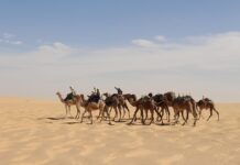 Beste reistijd voor Tsjaad – inclusief Tibesti en Ennedi