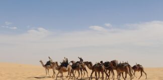 Beste reistijd voor Tsjaad – inclusief Tibesti en Ennedi