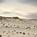 Dakhla national park