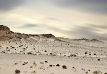 Dakhla National Park – natuur en avontuur in Marokko Dakhla national park