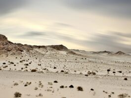 Dakhla National Park – natuur en avontuur in Marokko Dakhla national park